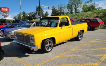 Chevrolet-C10-1982-Yellow-Gray-Cloth-30