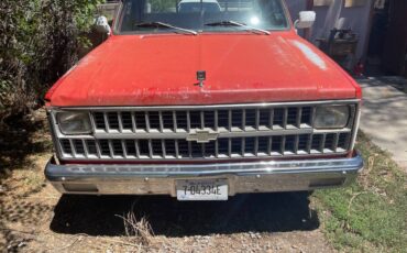 Chevrolet-C10-1982-red-23