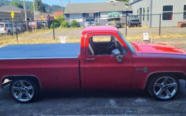 Chevrolet-C10-1983-18