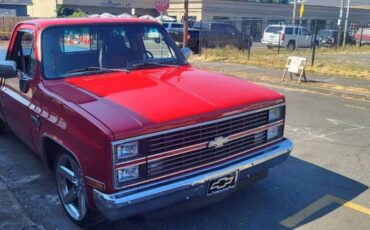 Chevrolet-C10-1983-19