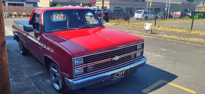 Chevrolet-C10-1983-19