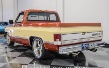 Chevrolet-C10-1983-Light-Bronze-Almond-11