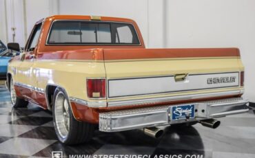 Chevrolet-C10-1983-Light-Bronze-Almond-12