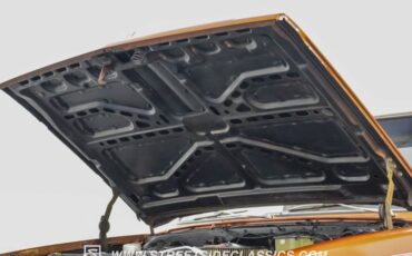 Chevrolet-C10-1983-Light-Bronze-Almond-15