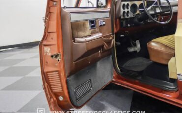 Chevrolet-C10-1983-Light-Bronze-Almond-16