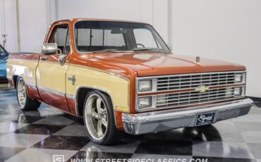 Chevrolet-C10-1983-Light-Bronze-Almond-18