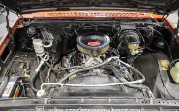 Chevrolet-C10-1983-Light-Bronze-Almond-2