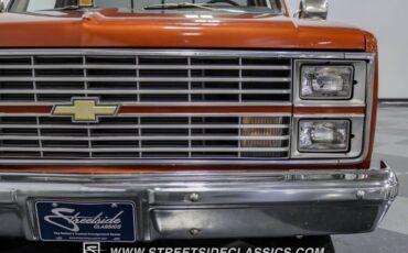 Chevrolet-C10-1983-Light-Bronze-Almond-23