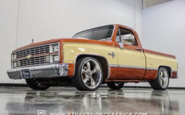 Chevrolet-C10-1983-Light-Bronze-Almond-24