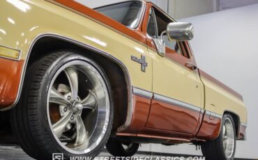 Chevrolet-C10-1983-Light-Bronze-Almond-25