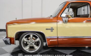 Chevrolet-C10-1983-Light-Bronze-Almond-26