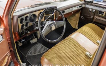 Chevrolet-C10-1983-Light-Bronze-Almond-3