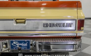 Chevrolet-C10-1983-Light-Bronze-Almond-30