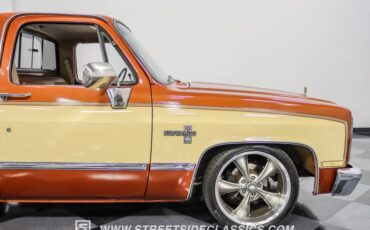 Chevrolet-C10-1983-Light-Bronze-Almond-34