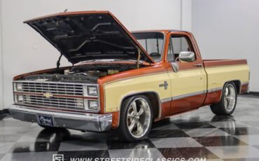 Chevrolet-C10-1983-Light-Bronze-Almond-35