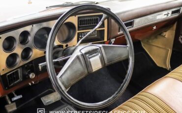 Chevrolet-C10-1983-Light-Bronze-Almond-36