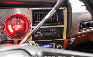Chevrolet-C10-1983-Light-Bronze-Almond-41