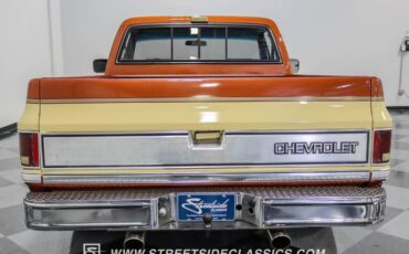 Chevrolet-C10-1983-Light-Bronze-Almond-49