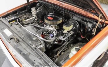 Chevrolet-C10-1983-Light-Bronze-Almond-5