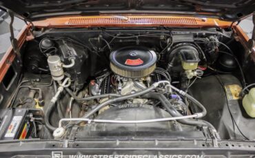 Chevrolet-C10-1983-Light-Bronze-Almond-6