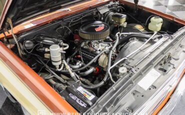 Chevrolet-C10-1983-Light-Bronze-Almond-7