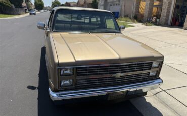 Chevrolet-C10-1983-Two-tone-gold-Two-tone-gold-and-br-1