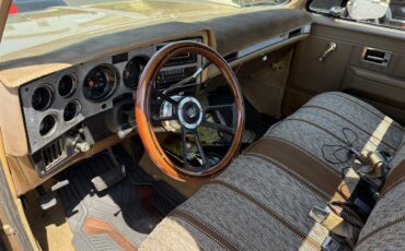 Chevrolet-C10-1983-Two-tone-gold-Two-tone-gold-and-br-10