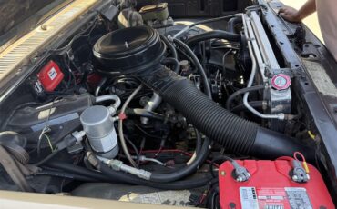 Chevrolet-C10-1983-Two-tone-gold-Two-tone-gold-and-br-15