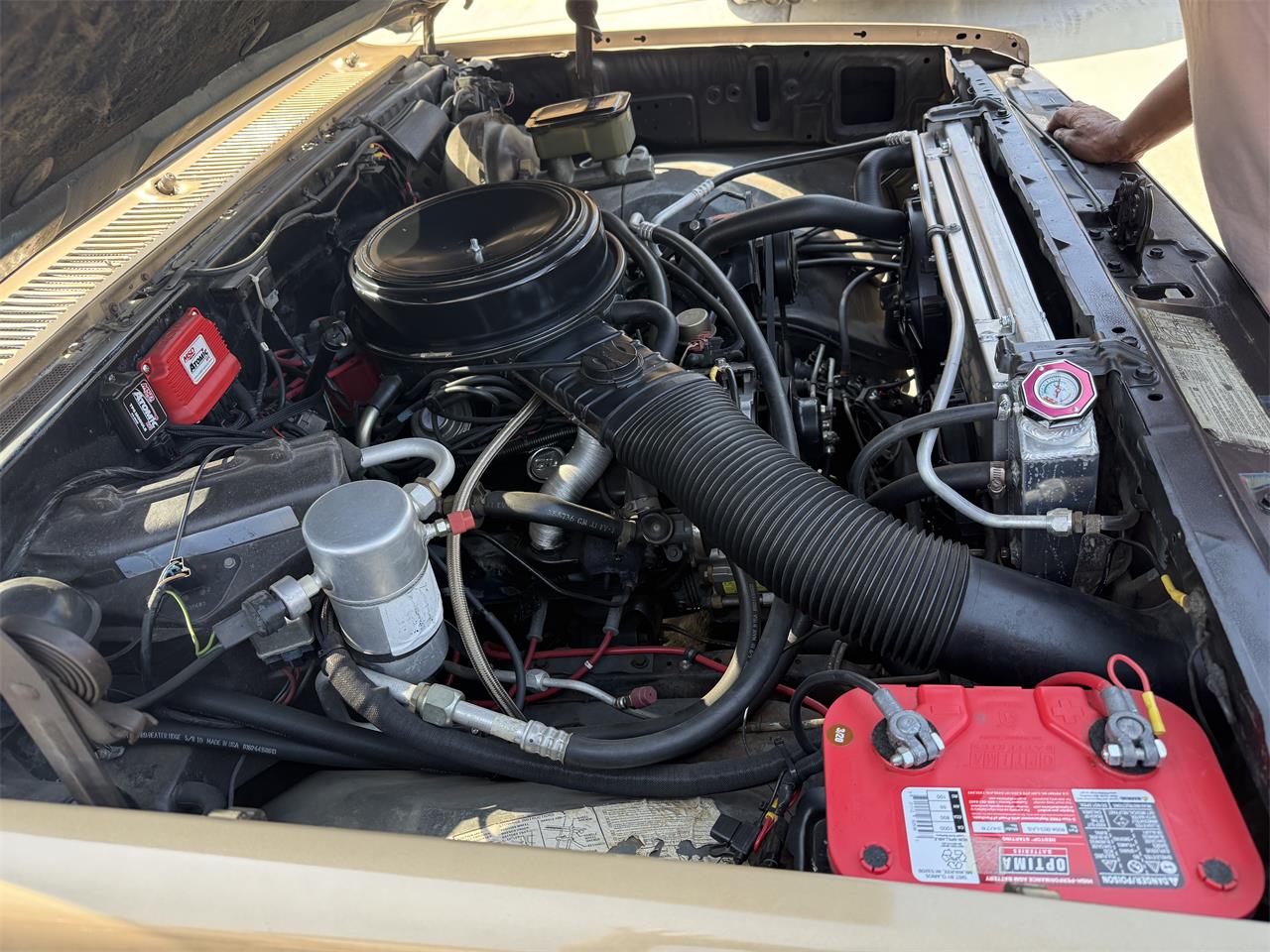 Chevrolet-C10-1983-Two-tone-gold-Two-tone-gold-and-br-15