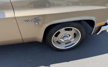 Chevrolet-C10-1983-Two-tone-gold-Two-tone-gold-and-br-2