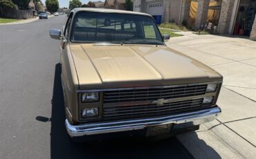 Chevrolet-C10-1983-Two-tone-gold-Two-tone-gold-and-br