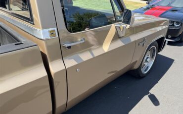 Chevrolet-C10-1983-Two-tone-gold-Two-tone-gold-and-br-4