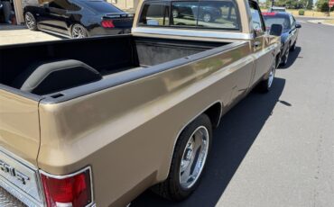 Chevrolet-C10-1983-Two-tone-gold-Two-tone-gold-and-br-5