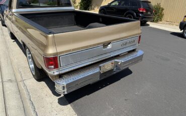 Chevrolet-C10-1983-Two-tone-gold-Two-tone-gold-and-br-6