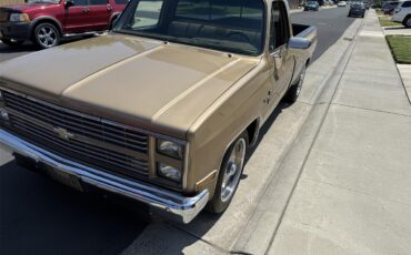 Chevrolet-C10-1983-Two-tone-gold-Two-tone-gold-and-br-7