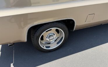 Chevrolet-C10-1983-Two-tone-gold-Two-tone-gold-and-br-8