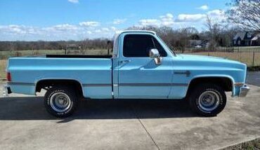 Chevrolet-C10-1984-Blue-14