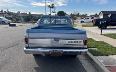 Chevrolet-C10-1984-Blue-and-Silver-Blue-10