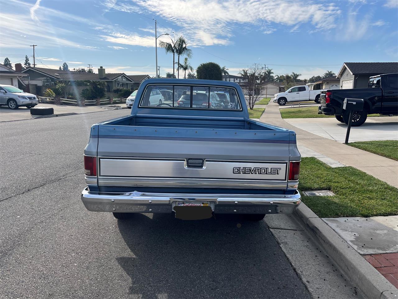 Chevrolet-C10-1984-Blue-and-Silver-Blue-10