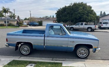 Chevrolet-C10-1984-Blue-and-Silver-Blue-9
