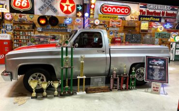 Chevrolet-C10-1984-Silver-Red-20