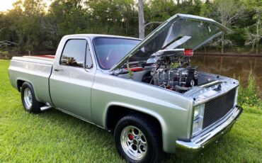 Chevrolet-C10-1984-Silver-Red-4
