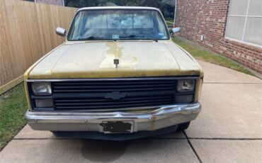 Chevrolet-C10-1984-Yellow-YellowBeige-1