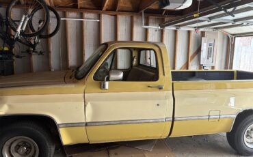 Chevrolet-C10-1984-Yellow-YellowBeige-3