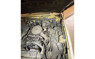 Chevrolet-C10-1984-Yellow-YellowBeige-6