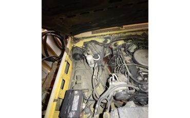 Chevrolet-C10-1984-Yellow-YellowBeige-7