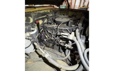 Chevrolet-C10-1984-Yellow-YellowBeige-8