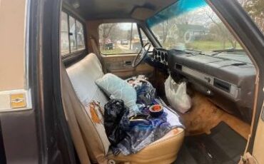 Chevrolet-C10-1985-1