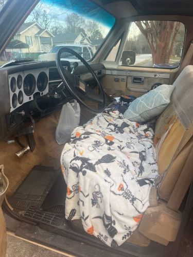 Chevrolet-C10-1985-3