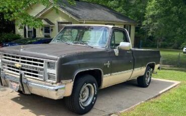 Chevrolet-C10-1985-4